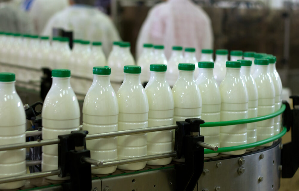 Latte: nel Veneto a marzo meno 30% l’import di latte crudo