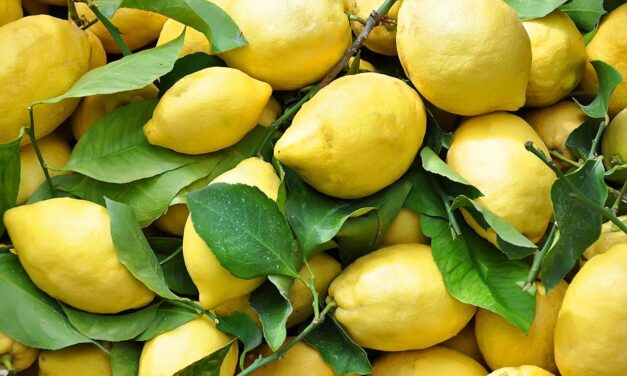 Coronavirus: limoni come l’oro, il prezzo raddoppia