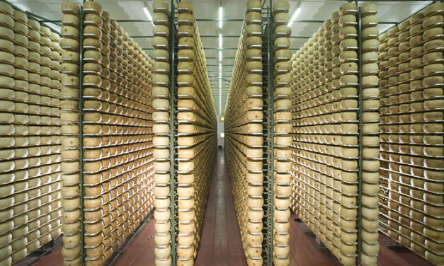 Nasce Parmareggio-Agriform, leader da 550 milioni nei formaggi Dop