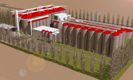 K-Adriatica progetta il futuro polo del malto per birra. Con la “filiera brassicola” ridurrà la dipendenza nazionale dall’import