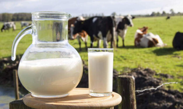 Latte, crescono i consumi mondiali: prezzi in crescita nei prossimi mesi