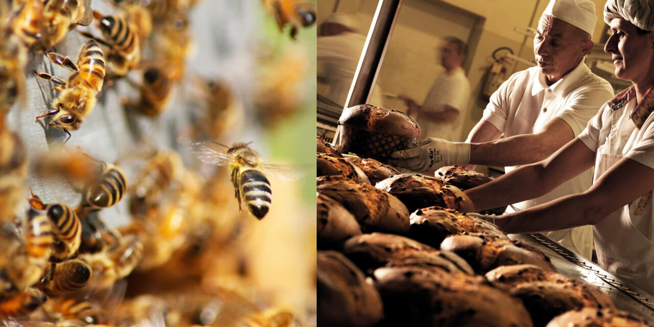 Pasticceria Scarpato: un milione di api “adottate” per una produzione sempre più sostenibile