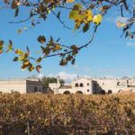 Degustazione: Tenuta Viglione una perla del Sud, wine resort e vini biologici nel cuore della Murgia