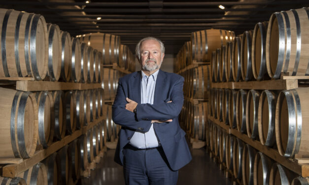 Schenk Italian Wineries, dalla vendemmia 2022 risultati superiori alle attese grazie alle piogge di agosto