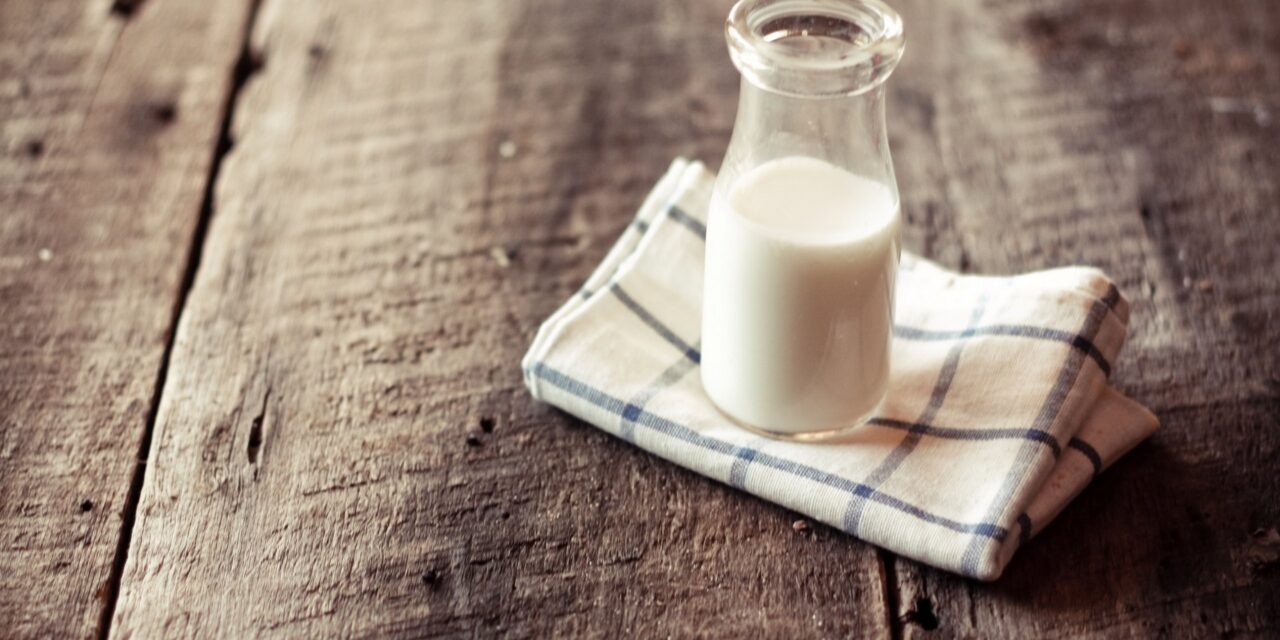 Veneto Agricoltura, cresce la produzione di latte biologico e sale al 3,5% dei nostri allevamenti