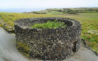 Pantelleria, la battaglia dello Zibibbo: l’isola cerca aiuti per salvare il suo patrimonio enologico